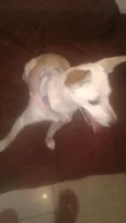 Mel