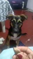 Milly