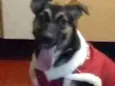 Milly