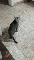 Malhada