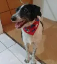 Linda