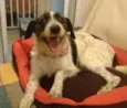 Linda