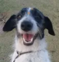 Linda