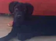 Thanos ou Pacote