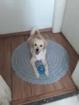 Théo