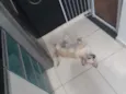 Théo