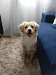 Théo