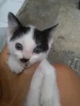 Julieta