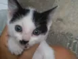 Julieta