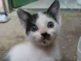 Julieta