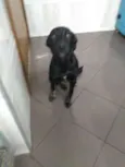 Neguinha