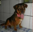 Scooby