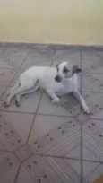 Nina