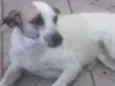 Nina