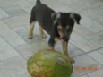 Não tem ainda