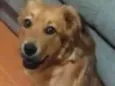Tatá