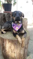 Frida
