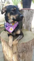 Frida