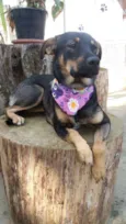 Frida