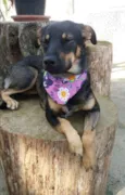 Frida