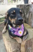 Frida