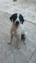 Bob