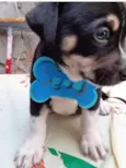 LULU