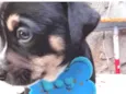 LULU