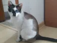 Bia