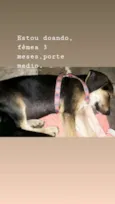 Sem nome