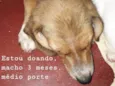 Sem nome