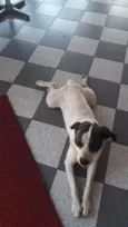 nao sei