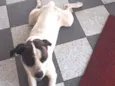 nao sei