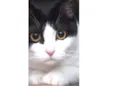 Mimi 