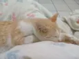 Bebê
