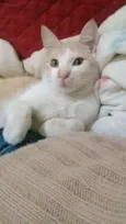 Bebê