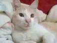 Bebê