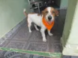 BISCOITO