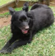 Preta
