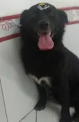 Preta