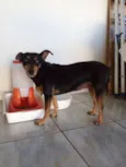 MUMI