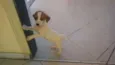 Não tem nome 