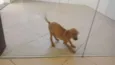 Não tem nome 