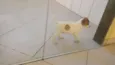 Não tem nome 