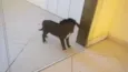 Não tem nome 