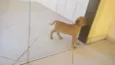 Não tem nome 
