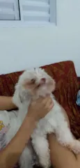 Boby