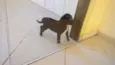 Não tem nome 