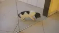 Não tem nome 