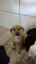 Não tem nome 
